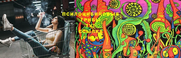 марки lsd Абаза