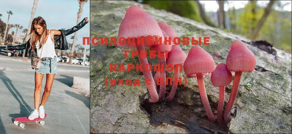 марки lsd Абаза