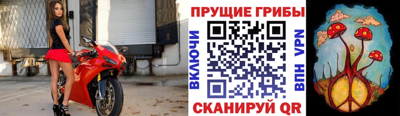 где купить наркоту MEGA онион Галлюциногенные грибы прущие грибы Полевской