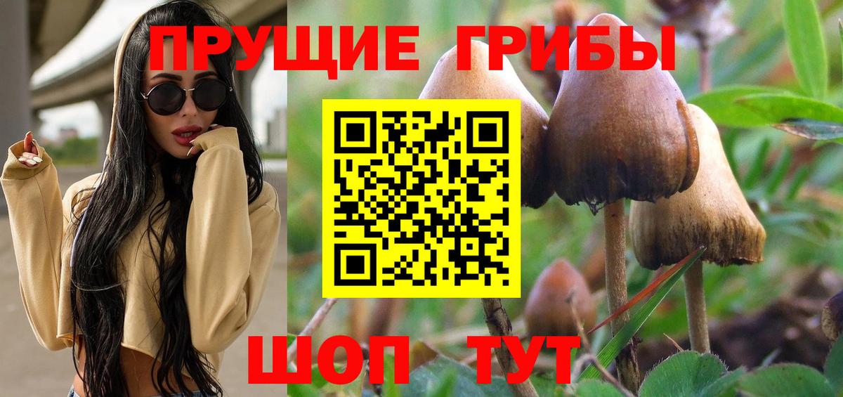 Псилоцибиновые грибы Magic Shrooms Полевской