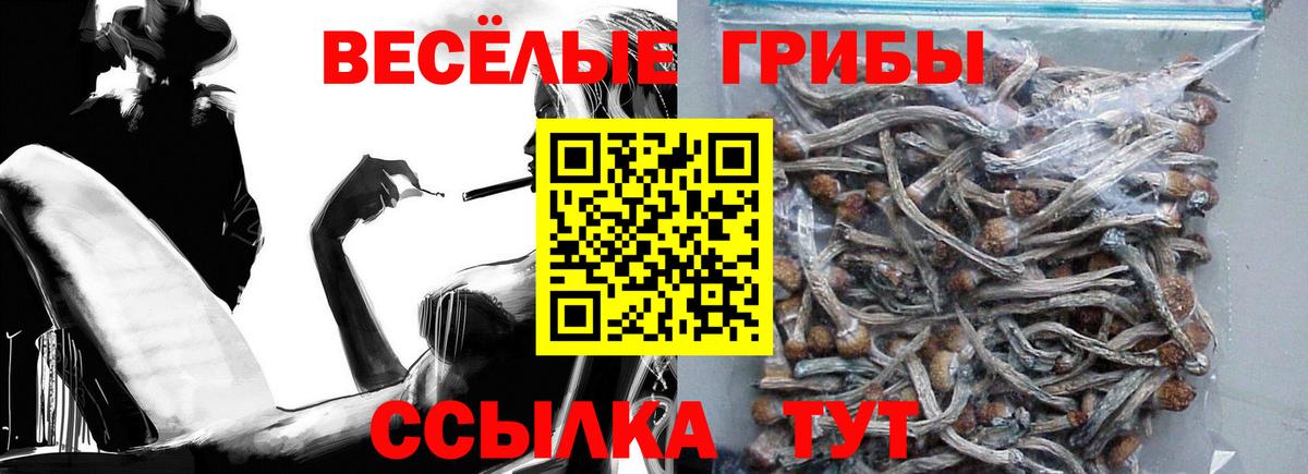 Полевской  Псилоцибиновые грибы Magic Shrooms  Вход с VPN  Псилоцибиновые грибы мухоморы 
